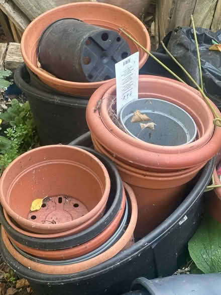 Photo of free Lots and lots of plant pots (Hitchin, Herts) #1