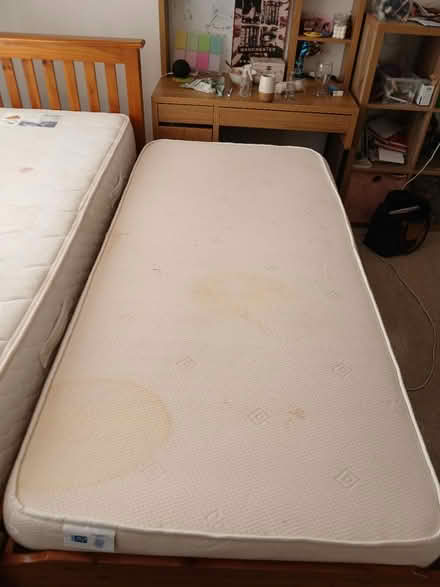 Photo of free John Lewis Single beds (Alwoodley LS17) #4