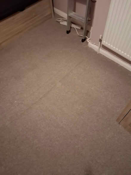 Photo of free Beige carpet (mansfield woodhouse NG19) #2