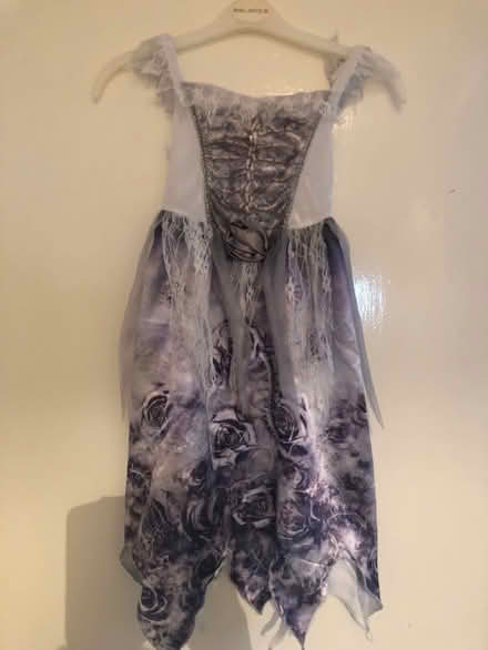 Photo of free Fancy dress costume age 3-4 (Latchford WA4) #1