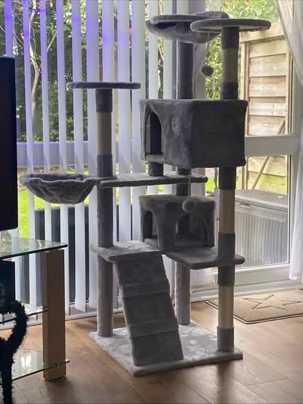 Photo of free Multi Level Cat Tree (Allerton L18) #1