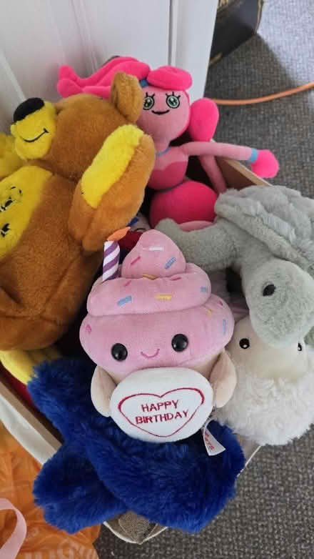 Photo of free A box of soft toys (Woking GU21) #1