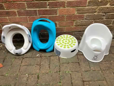 Photo of free Potty & toilet seats (Horsham RH13) #1