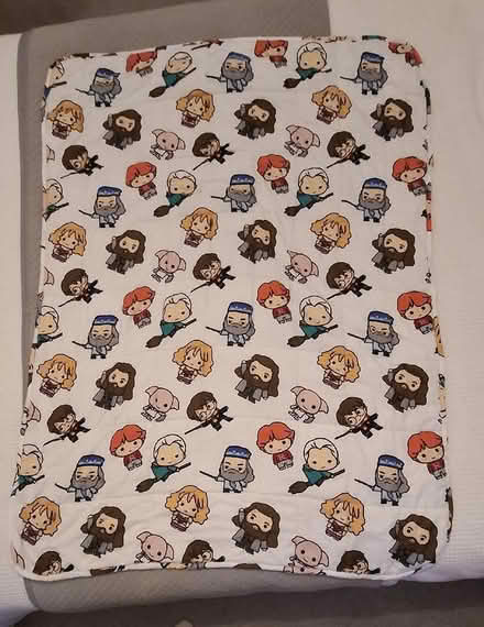 Photo of free Kids Harry Potter weighted blanket (Boughton Monchelsea ME17) #1
