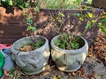 Photo of free Heavy stone plant pots (Meersbrook S2) #1