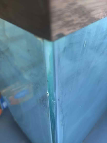 Photo of free Two Free 45-55 Gallon Aquariums (South Anchorage) #4