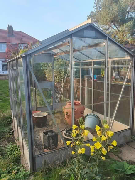 Photo of free Greenhouse (Derby DE24) #3