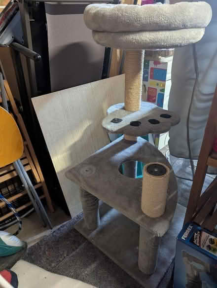 Photo of free Cat scratching post and bed (Surrenden BN1) #1