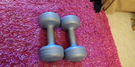 Photo of free 2K dumbbells (Bussage GL6) #1