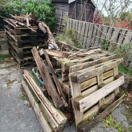 Photo of free Old pallets and wood. (Over Kellet LA6) #1