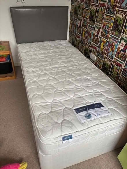 Photo of free Single bed and mattress w/headboard (Warrington WA4) #2