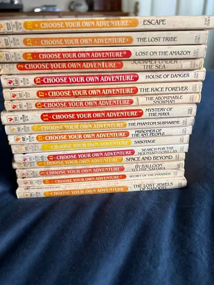 Photo of free Choose your own adventure books (Cambrian Park) #1