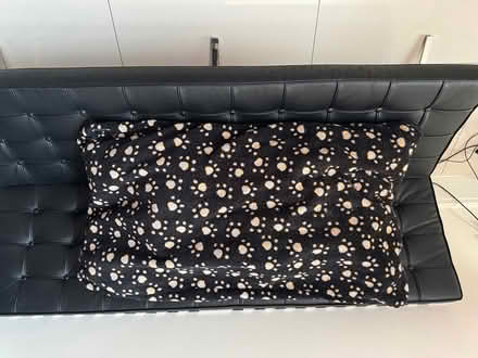 Photo of free Dog Bed c4’ x 2’ Attractive design (Cobham, Surrey KT11) #1