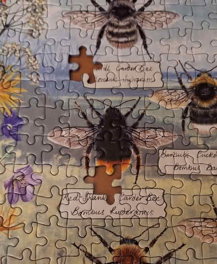 Photo of free 1000 pieces jigsaw puzzles. (Stotfold SG5) #2