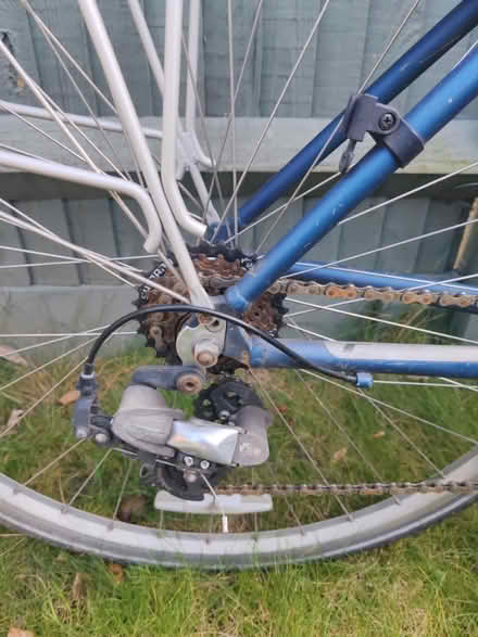 Photo of free Bicycle (Tulse Hill) #4