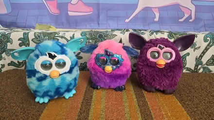 Photo of free 3 furbys (Guildford GU1) #1