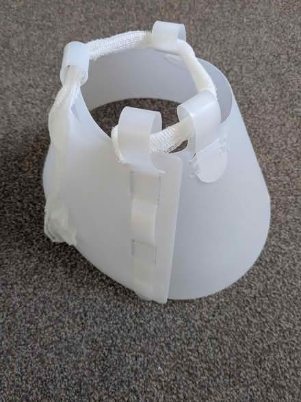 Photo of free Clinical collar/cone (Gosport PO12) #1