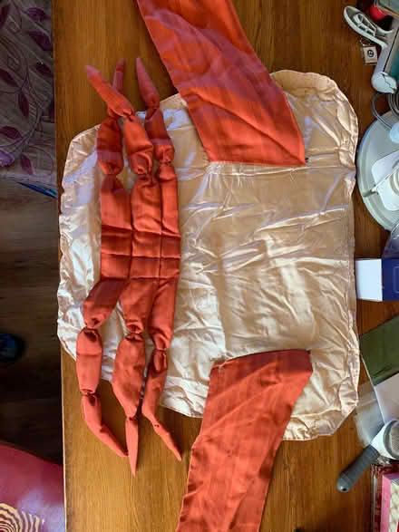 Photo of free Crab costume (Penbeagle TR26) #1