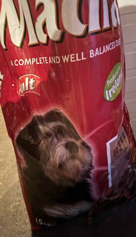 Photo of free Indoor beds/DogFood (The Ward, County Dublin) #1