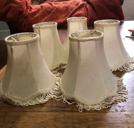 Photo of free 5 small cream lampshades (Stow LN1) #1