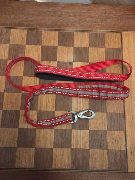 Photo of free Dog lead (North Shields NE30) #1