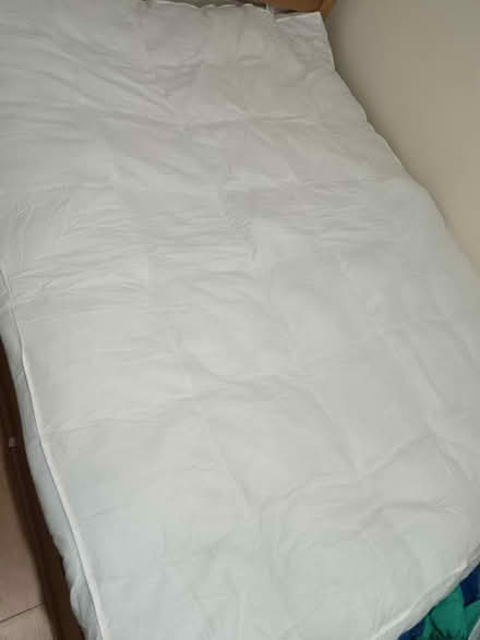 Photo of free Mattress topper (SW15 Putney Vale) #1