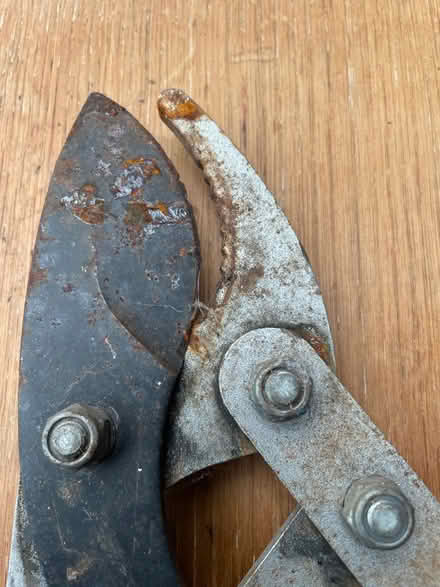 Photo of free Loppers, blade needs attention (CV35) #2