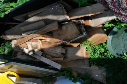 Photo of free Wood For Burning (TN31) #1