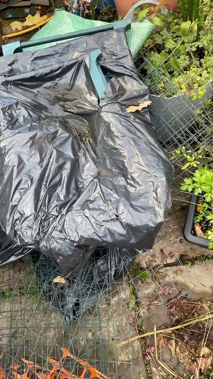 Photo of free 2 plastic and metal greenhouses (Underdale SY2) #1