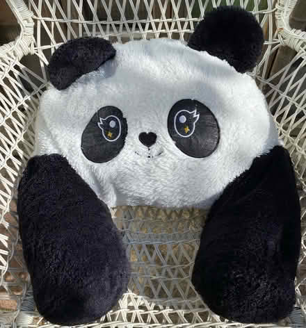 Photo of free Panda Cuddle/ Support Pillow (Weston) #1