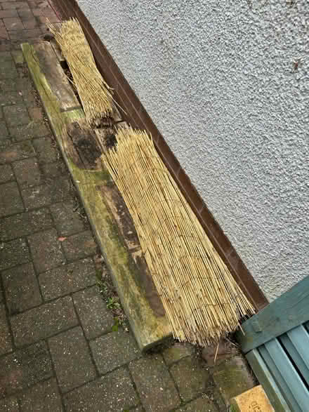 Photo of free Reed screening (Near Cameron Toll EH16) #1