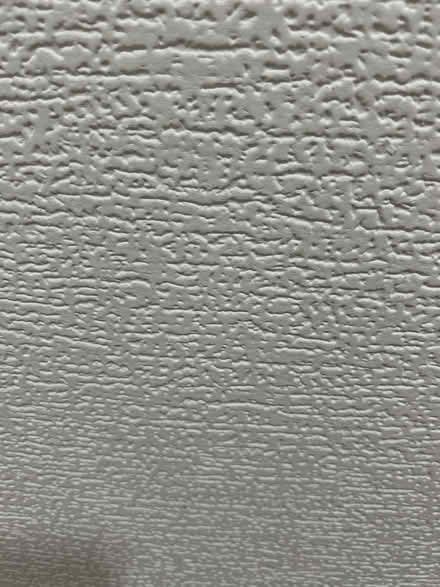 Photo of free 2 ft x 4 ft Ceiling Tiles (Maple and Decker) #2