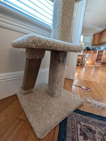 Photo of free Cat tree-used-good condition (East Watertown) #2