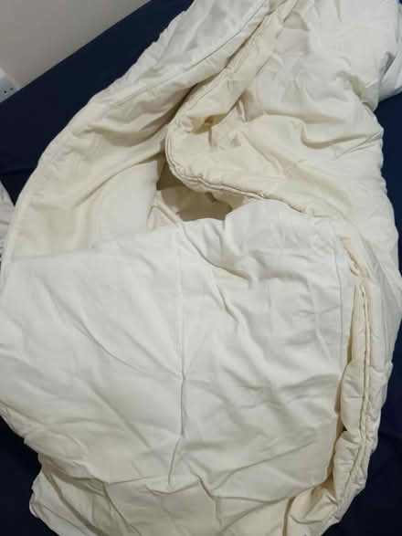 Photo of free Double duvet (SW15 Putney Vale) #1