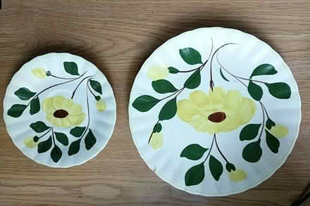 Photo of free collectible dishes from the 1950s (Ann Arbor near Hillside Terr.) #2