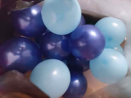 Photo of free 15-20 small balloons, blown up (Wildridings RG12) #1