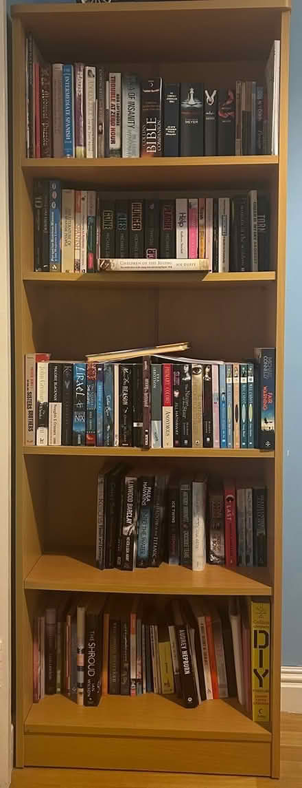 Photo of free Shelf unit (Shankill) #2