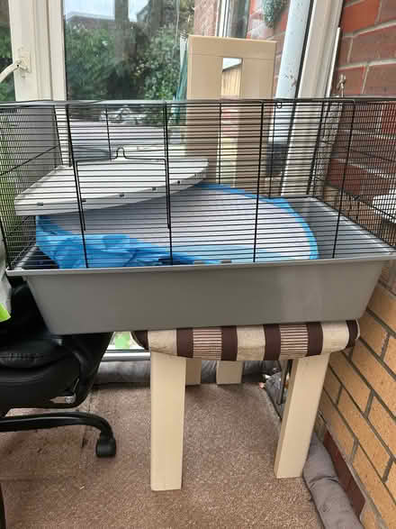 Photo of free Hamster cage (Knaresborough HG5) #1