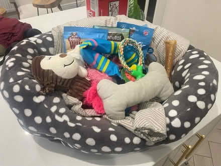 Photo of free Items for dogs (NG16 Eastwood) #1