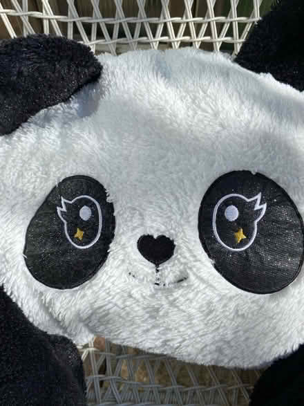 Photo of free Panda Cuddle/ Support Pillow (Weston) #2
