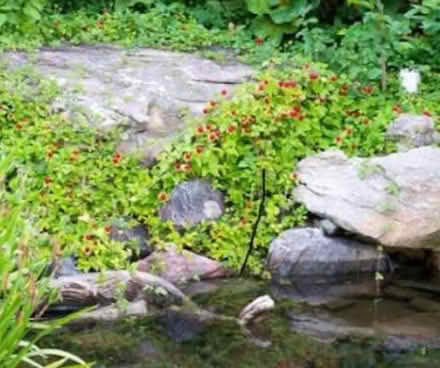 Photo of Rocks (Bear flat) #2