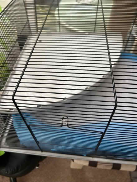 Photo of free Hamster cage (Knaresborough HG5) #2