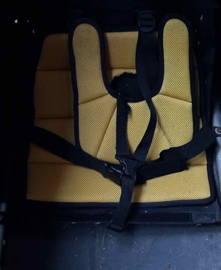 Photo of free Bike trailer / Burley Solo (Falls Church/Mclean area) #4