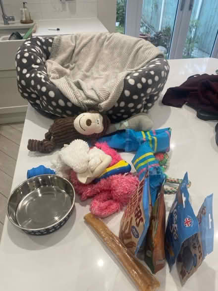 Photo of free Items for dogs (NG16 Eastwood) #2