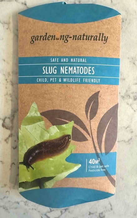 Photo of free Slug Nematodes - to treat 40 sq m (East Marden) #1