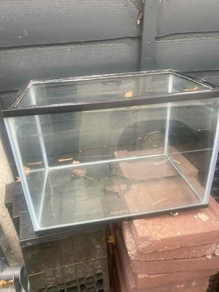Photo of free Fish tank (Forest green) #1