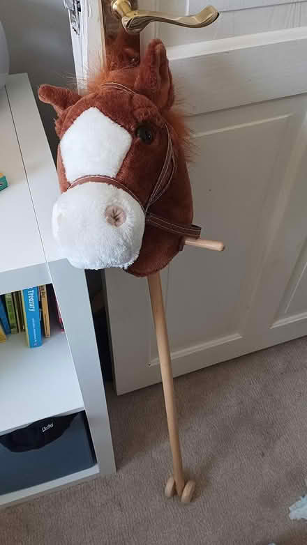 Photo of free Hobby Horse (Crawcrook) #1