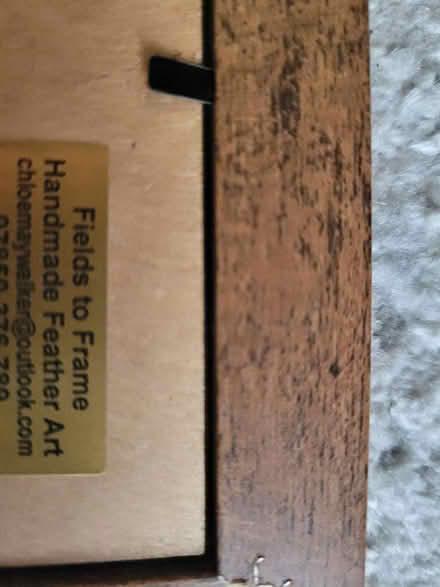 Photo of free Picture (Springfield WN6) #2