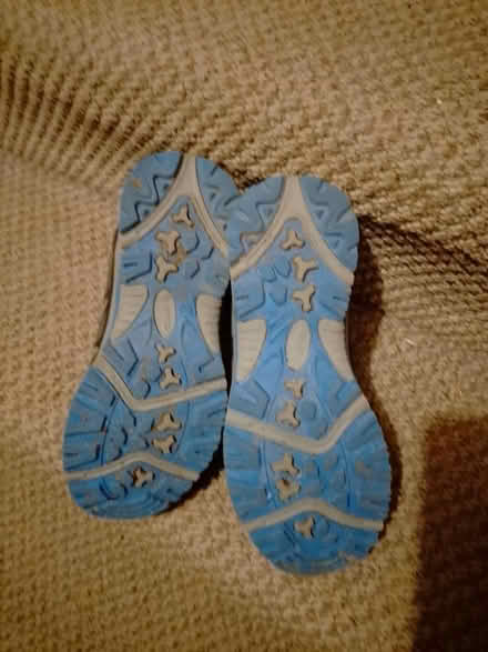 Photo of free Walking boots (Oxgangs EH13) #3