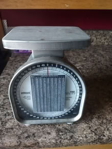 Photo of free scales #1